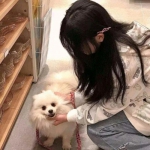 金沙直播app下载